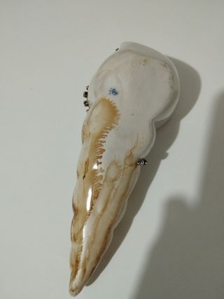 Conchiglia con strass