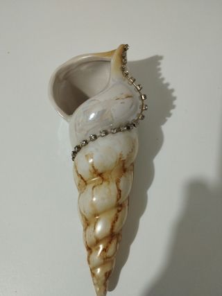 Conchiglia con strass