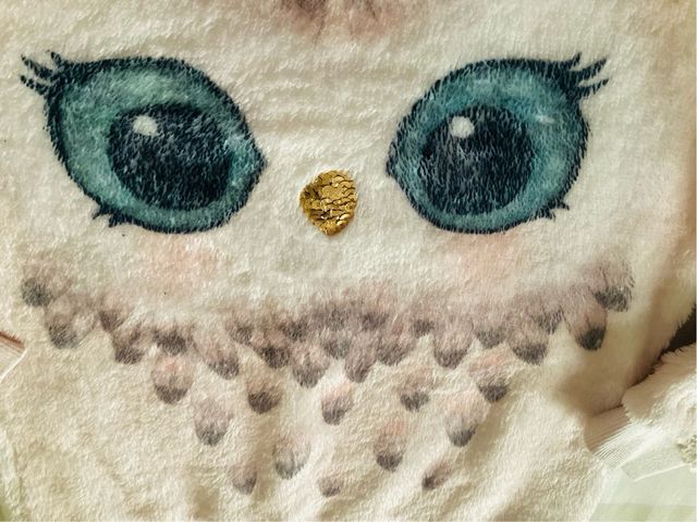Jersey búho  tipo peluche H&M para 6 a 8 años