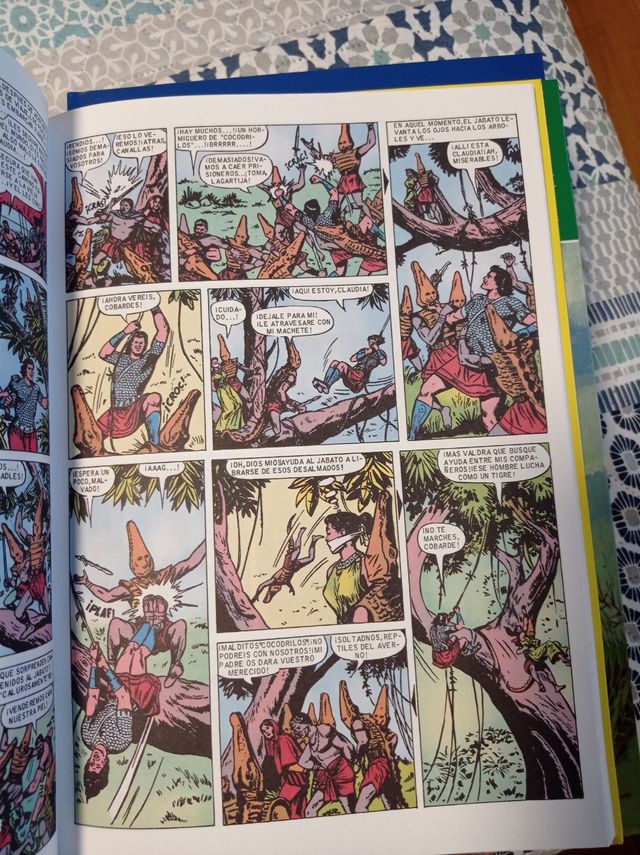 Lote 22 tomos Jabato Color