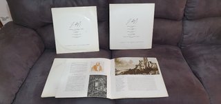 Un grande musicista Franz Liszt