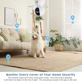 Camara wifi
