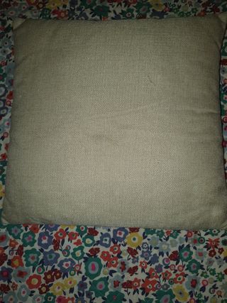 Beatrix potter cojines