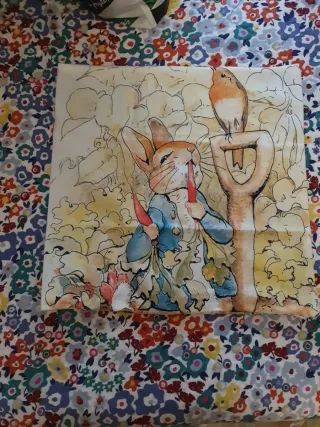 Beatrix potter cojines