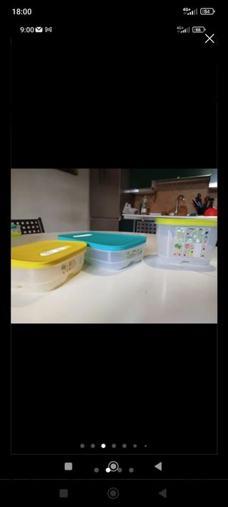 Wentsmart Tupperware