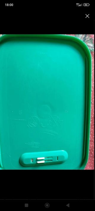 Wentsmart Tupperware