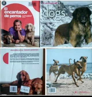 Jaula Pájaros -Libro Encantador Perro Estuche Ikea