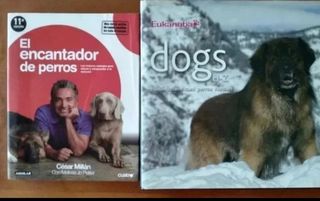 Jaula Pájaros -Libro Encantador Perro Estuche Ikea