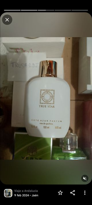 Tú perfume del galgo