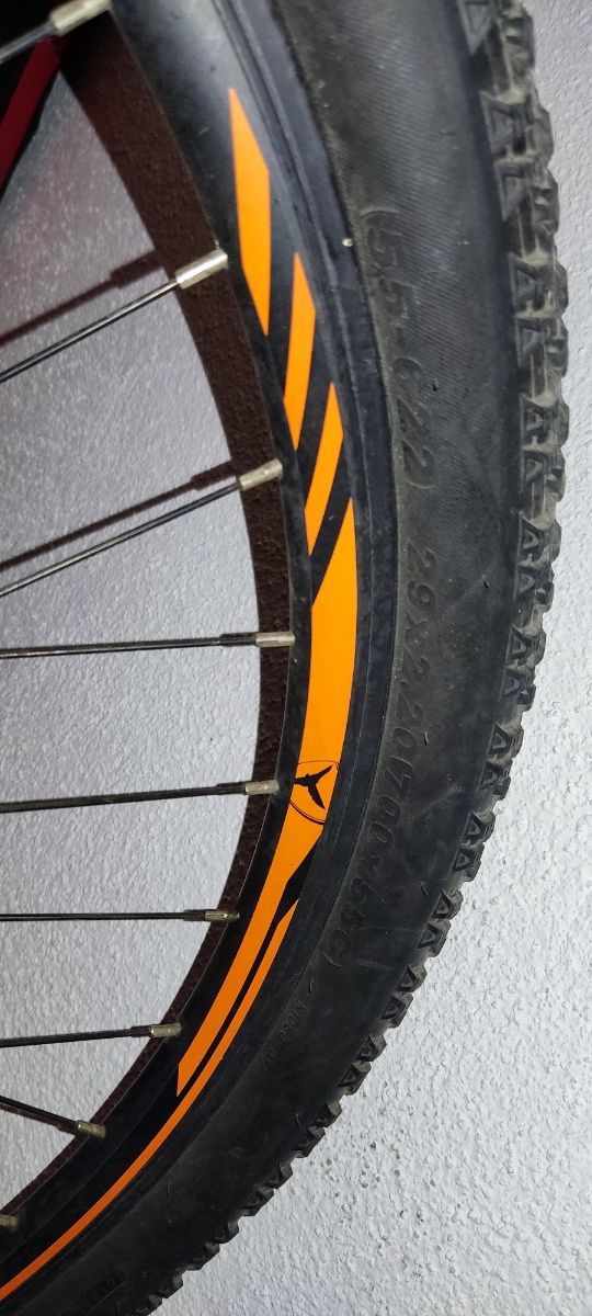 BICICLETA ELÈCTRICA