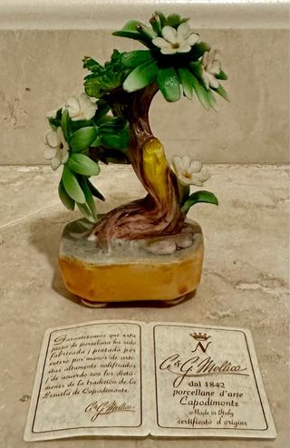 Bonsai porcellana di capodimonte 