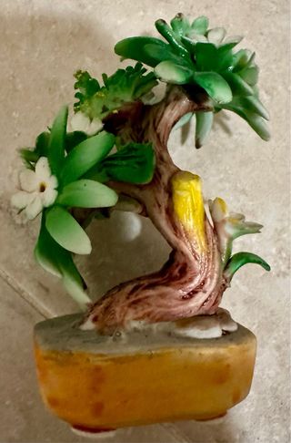 Bonsai porcellana di capodimonte 