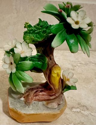 Bonsai porcellana di capodimonte 