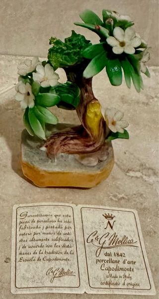 Bonsai porcellana di capodimonte 