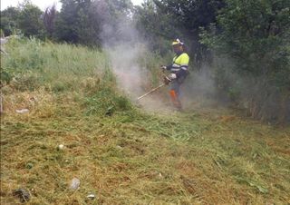 Jardinero económico