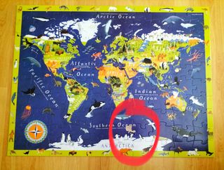 Puzzle aniales del mundo