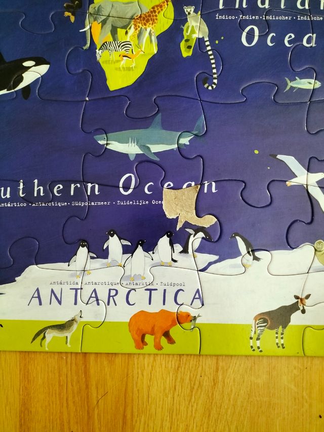 Puzzle aniales del mundo