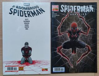 Lote de comics. Grapas,integrales, colección etc.