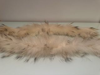 Plumas Highly Preppy