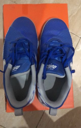 Zapatos Nike JR Team Hustle