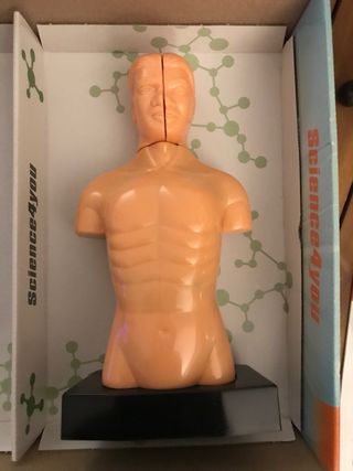 Juego El cos humà, Science4you