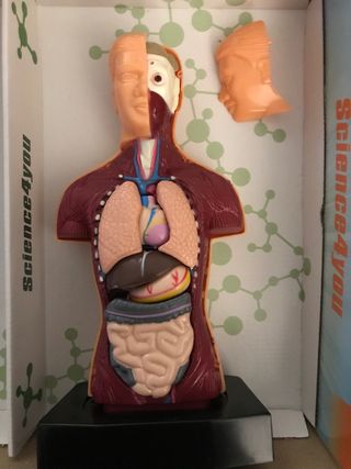 Juego El cos humà, Science4you