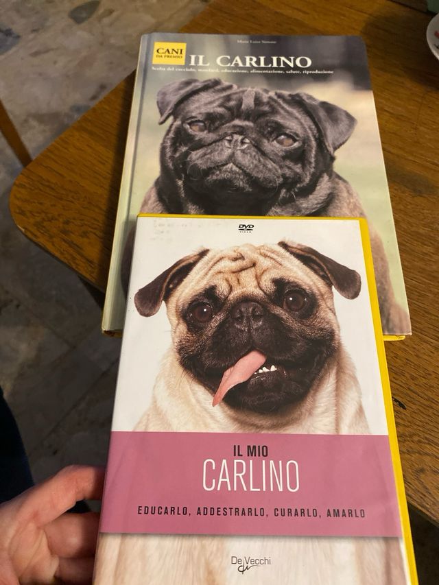 Il carlino
