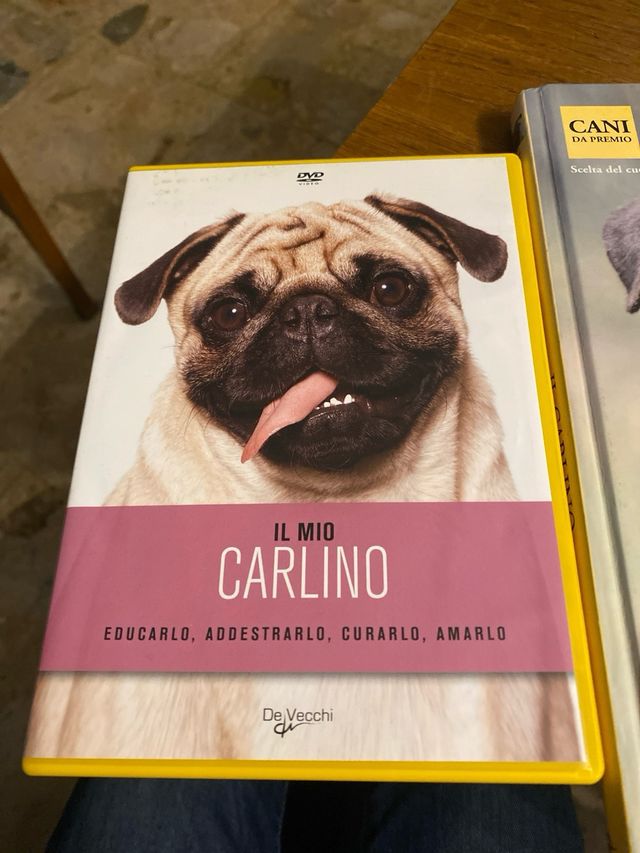 Il carlino