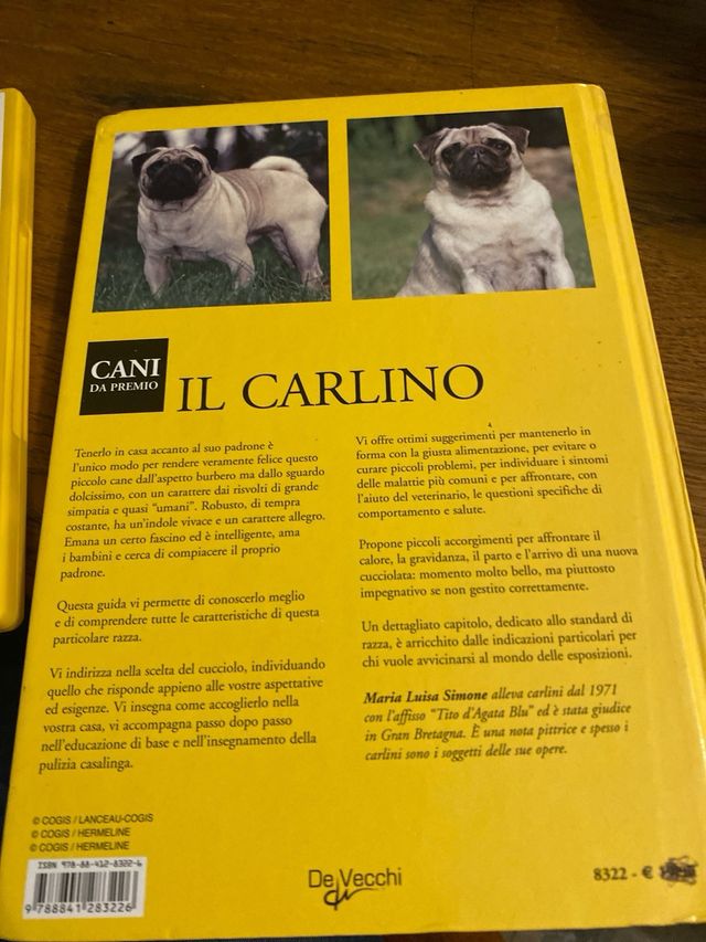 Il carlino