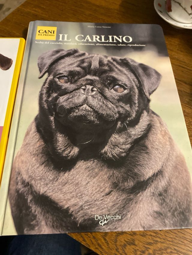 Il carlino
