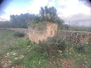 Finca en santa margalida. 7600m