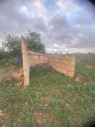 Finca en santa margalida. 7600m