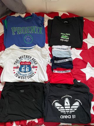 Lote camisetas
