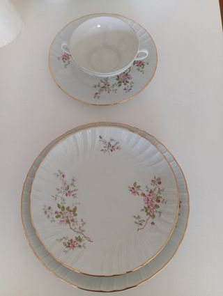 Vajilla porcelana Irabia