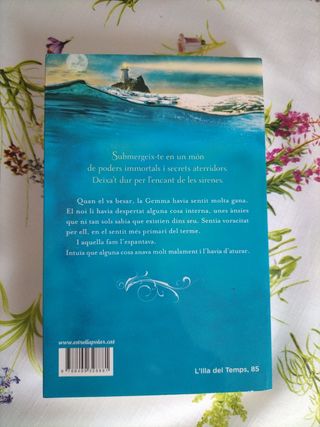 Cançó de mar 1. El despertar (L' illa del temps) (Catalan Edition)