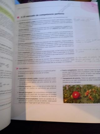 LA+SB Economia 1 Bachillerato