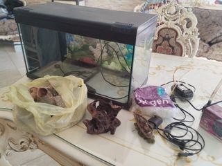 Acquario completo di accessori
