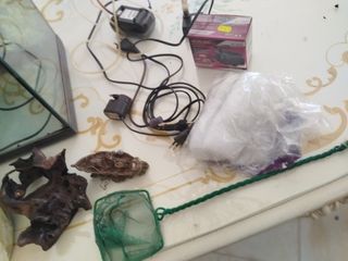 Acquario completo di accessori