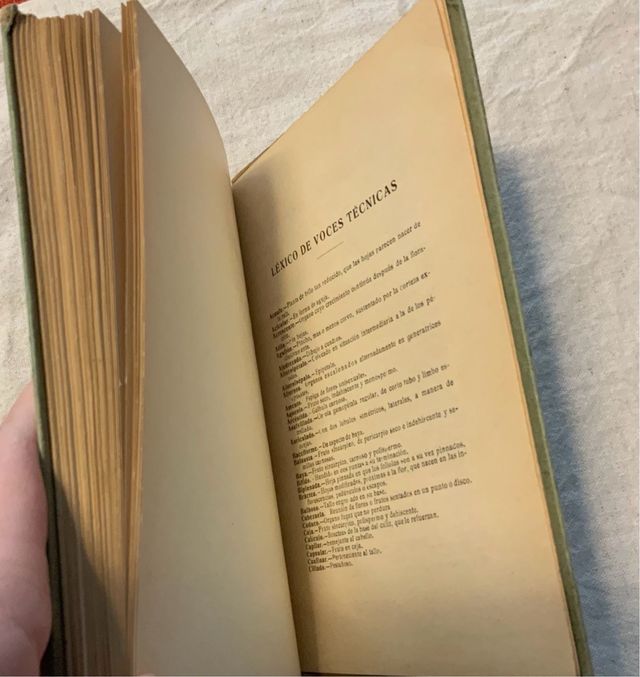 Flora de España. Celso Arévalo