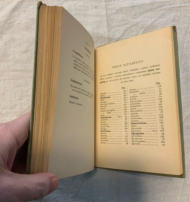 Flora de España. Celso Arévalo