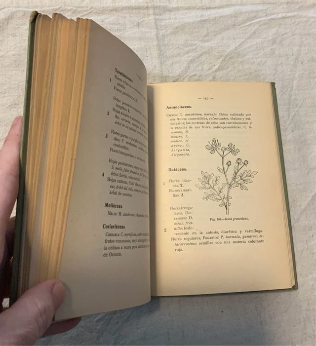 Flora de España. Celso Arévalo