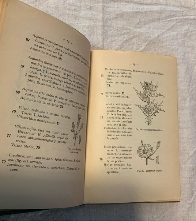 Flora de España. Celso Arévalo