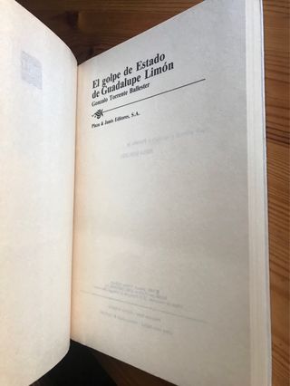 El golpe de estado de Guadalupe Limón