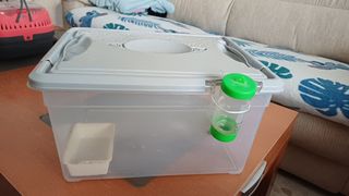 jaula hamster o raton artesanal