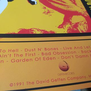 Guns N' Roses Use Your Illusion I Poster A2