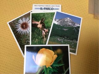 Cartoline 10 Fiori,alberi Del Parco Naz. Abruzzo