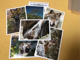 Cartoline 10 Fiori,alberi Del Parco Naz. Abruzzo