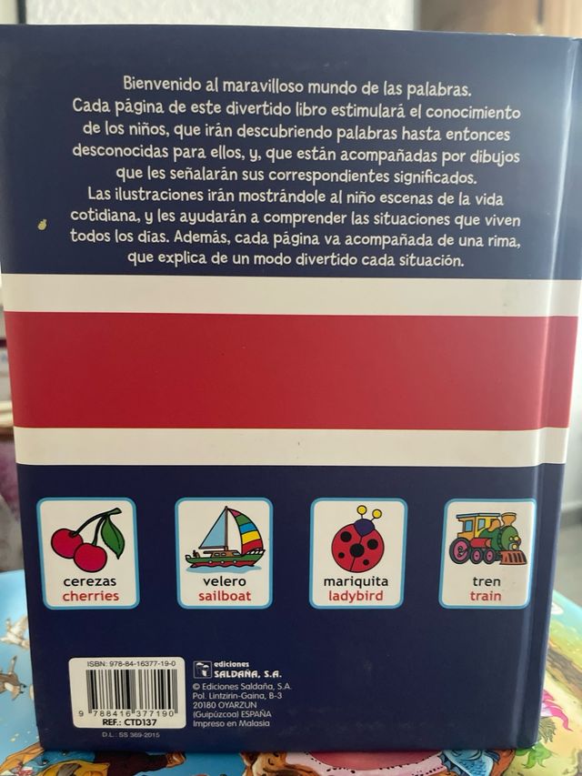 MIS PRIMERAS 1000 PALABRAS EN INGLÉS (Spanish Edit