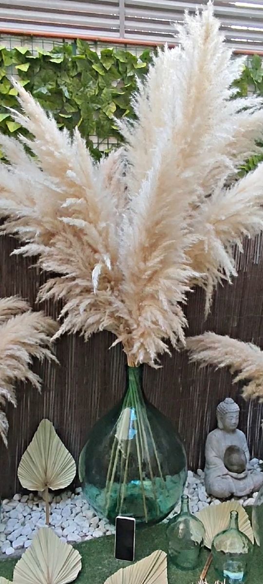 Pampas naturales / navidad / decoración