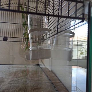 Bebederos pájaro